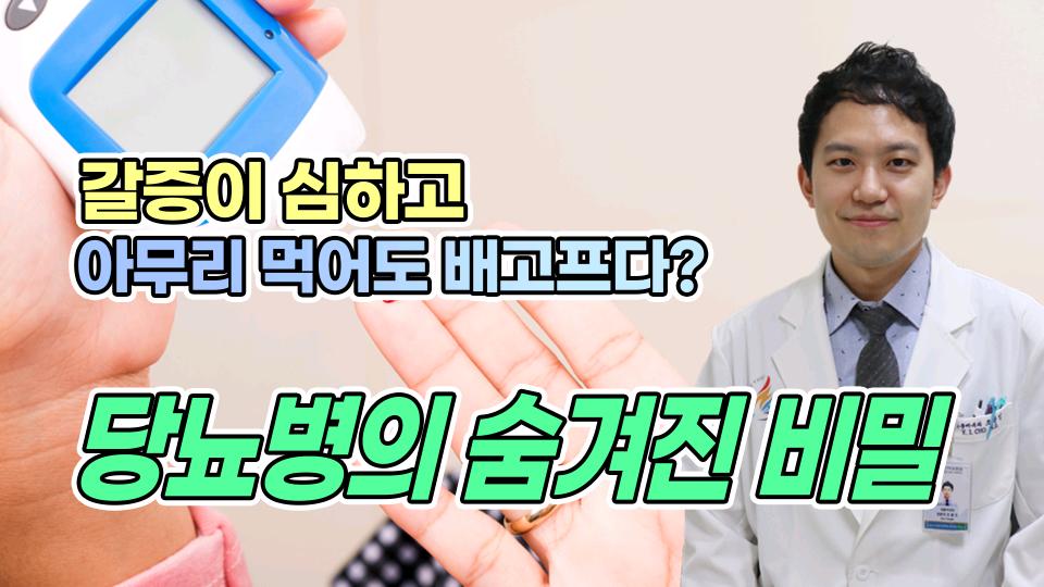 [건강수첩] 갈증이 심하고 아무리 먹어도 배고프다? 당뇨병의 숨겨진 비밀 ㅣ 인하대병원 내분비내과 조용인 교수