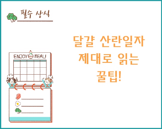 달걀 산란일자 제대로 읽는 꿀팁!