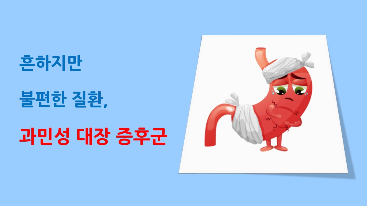 [의학칼럼] 흔하지만 불편한 질환, 과민성 대장 증후군