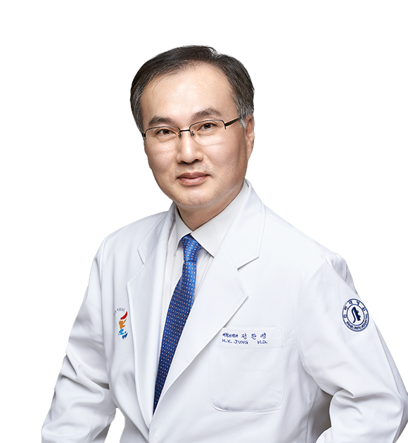 Han Young Jung 의사 사진